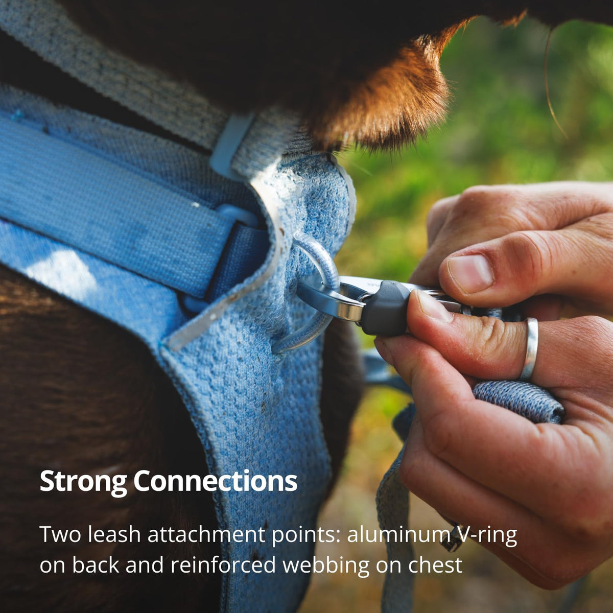 Ruffwear Front Range Flex reflective trim detail in low light
