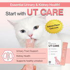 Doctor By UT Care cranberry and taurine paste for cat renal health