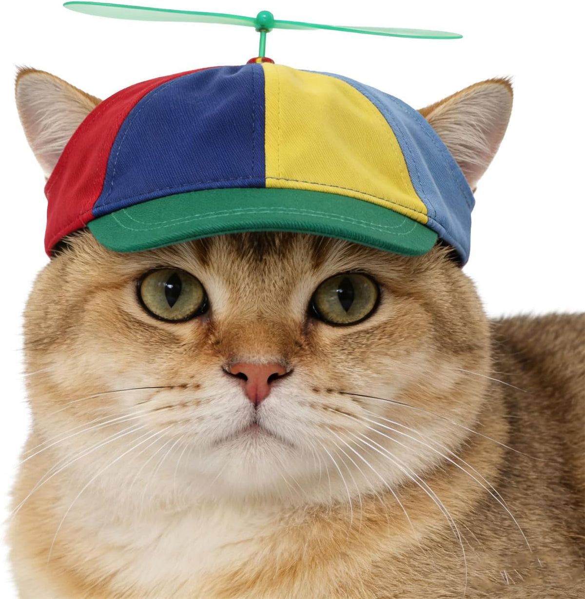 Niceyst Cats Dogs Propeller Hat front view