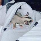 Exotic Nutrition Glider Bonding Pouch hanging inside pet cage