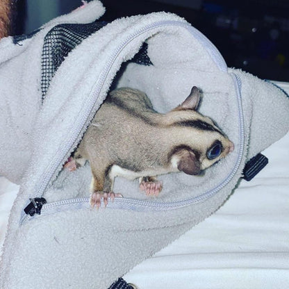 Glider Bonding Pouch - Carry Bonding Pouch for Sugar Gliders, Rats, Ferrets, Chinchillas, Squirrels, Marmosets, Hamsters, Gerbils & Small Animals - Image 5