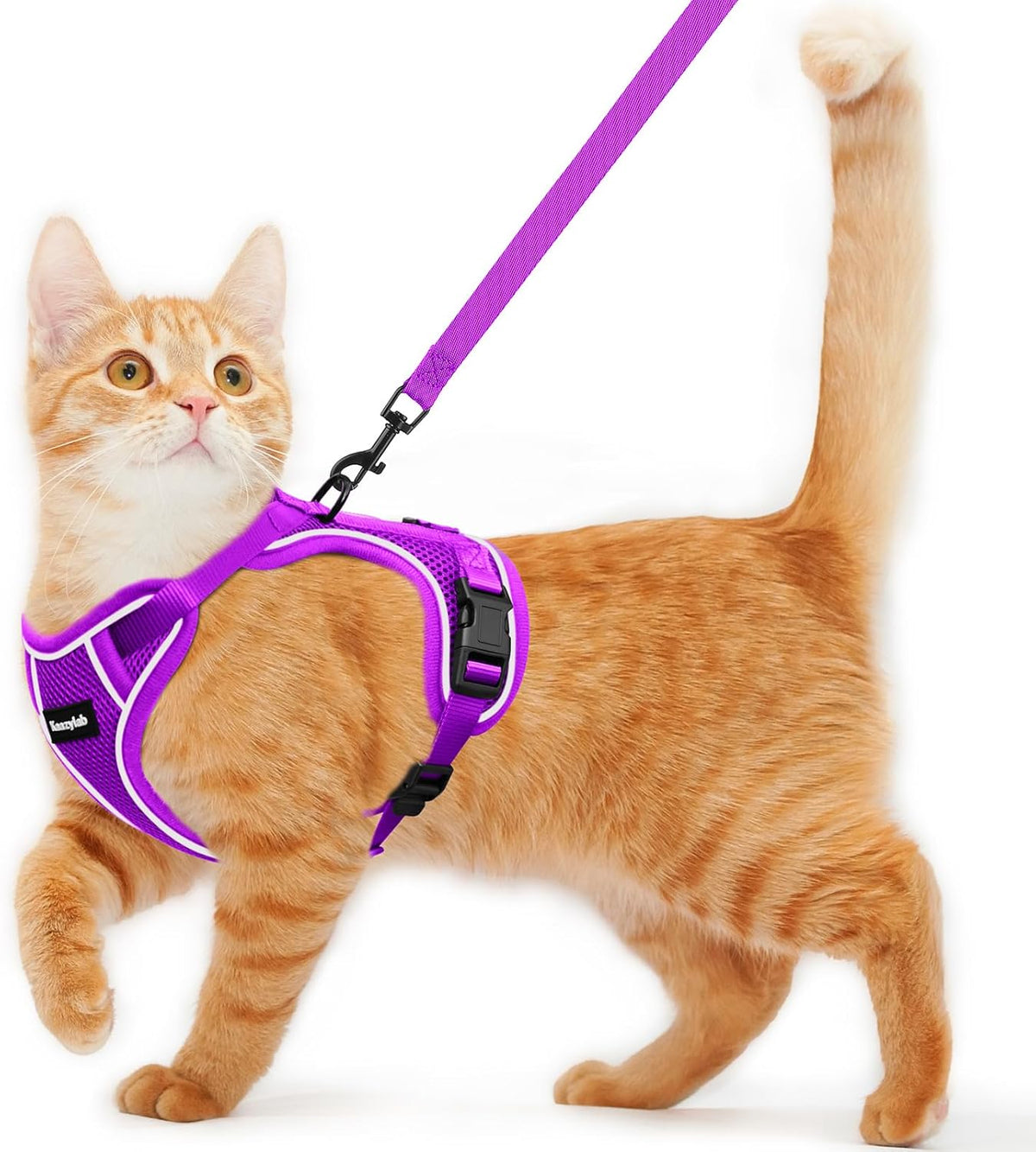 Cat Harness and Leash for Walking Escape Proof Soft Adjustable Cat Leash Breathable Comfortable Vest Easy to Wear Kitten Harness for Outdoor Travel (Black, S (7-12lb)) - Image 11
