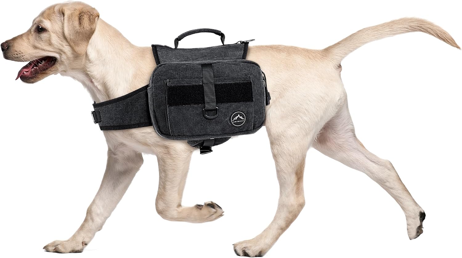 Himal Outdoors dog backpack front view on a large breed dog