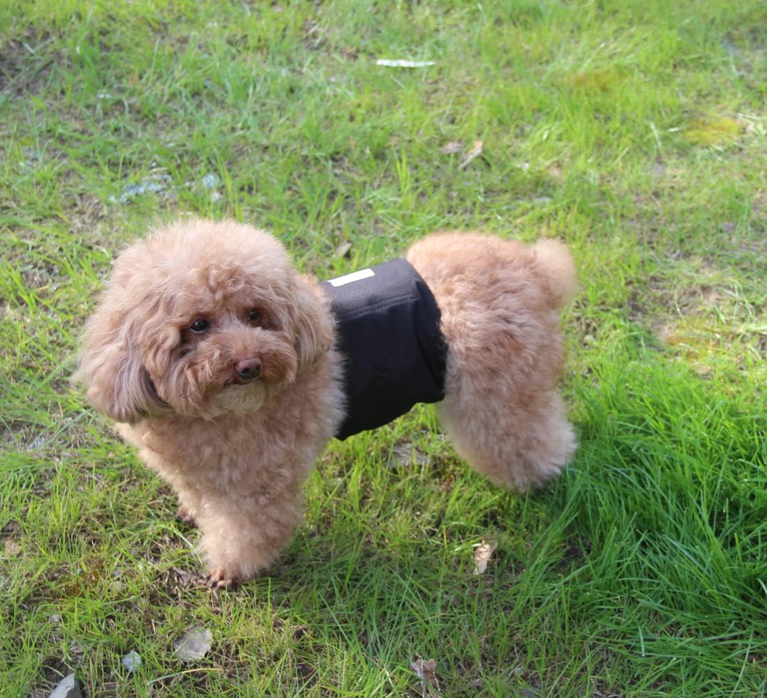 Vecomfy reusable puppy diapers small size showing the double stitched adjustable closures