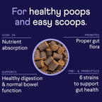 Dog prebiotics and probiotics soft chews with pumpkin inside purple tin