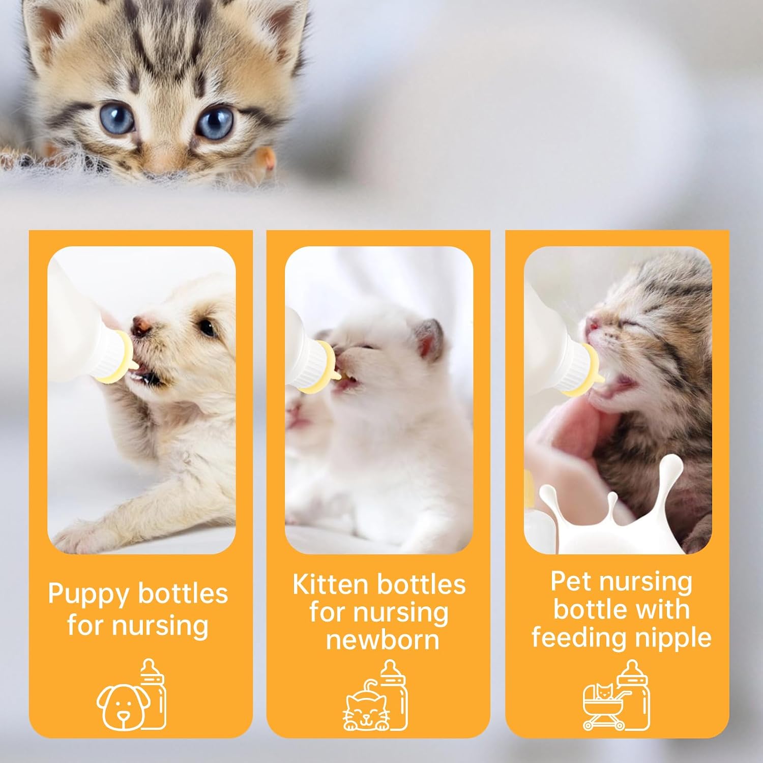 Yellow silicone pacifiers and translucent pet nursing bottles close up view