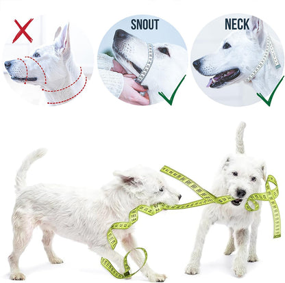 GoodBoy humane training headcollar metal clip adjustability under chin