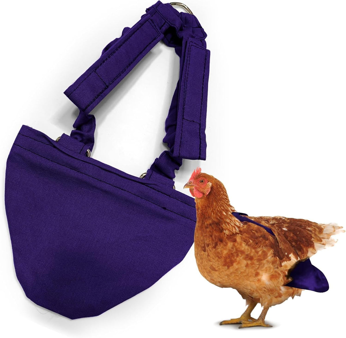 Hen Holster Starter Kit - Wrap-Around Duck Diaper w/Removable Liner & Fixed Tab - Durable, Secure Fit, Easy-to-Wear - Essential Duck Supplies for Real Ducks, Made in USA - Black, XS - Image 13