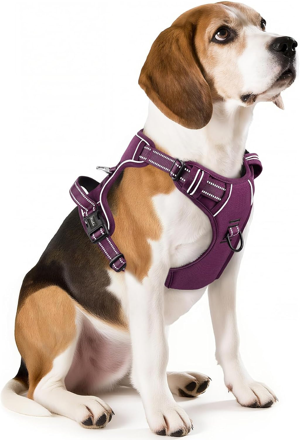 High visibility imported pet harness flower pink color on a dog