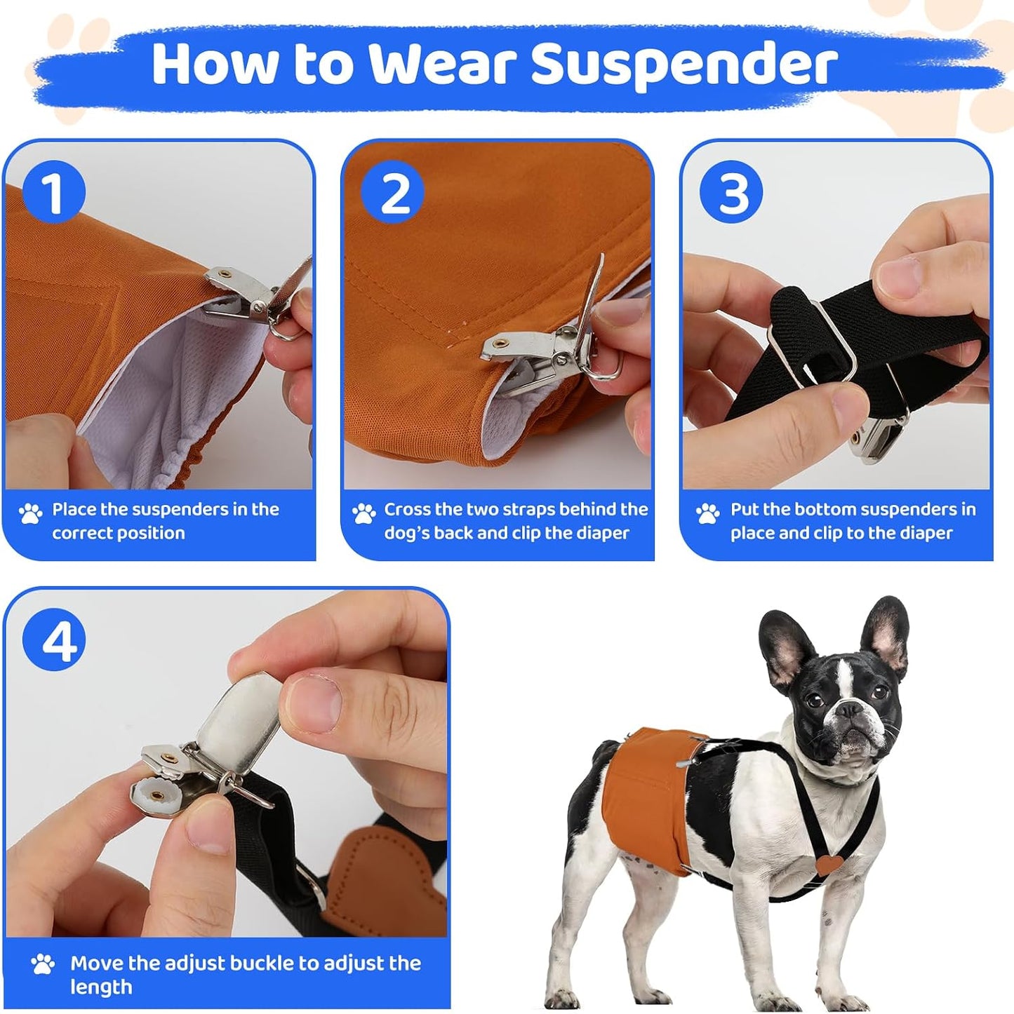Thick elastic dog garment suspenders back view showing secure fit placement