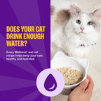 Wellness healthy hydration single serve cat food pouches close up