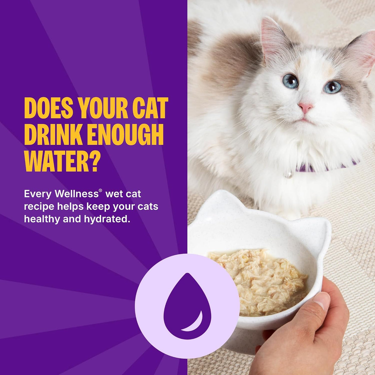 Wellness healthy hydration single serve cat food pouches close up