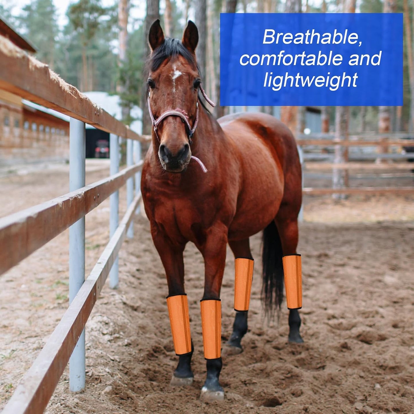 Water resistant horse mesh leg wraps during cleaning process