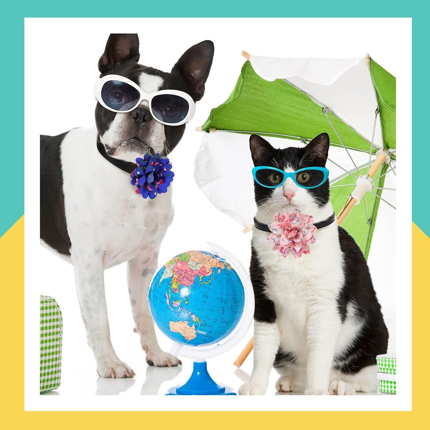 Xuniea pet flower bow ties displaying the elastic band attachment on collar
