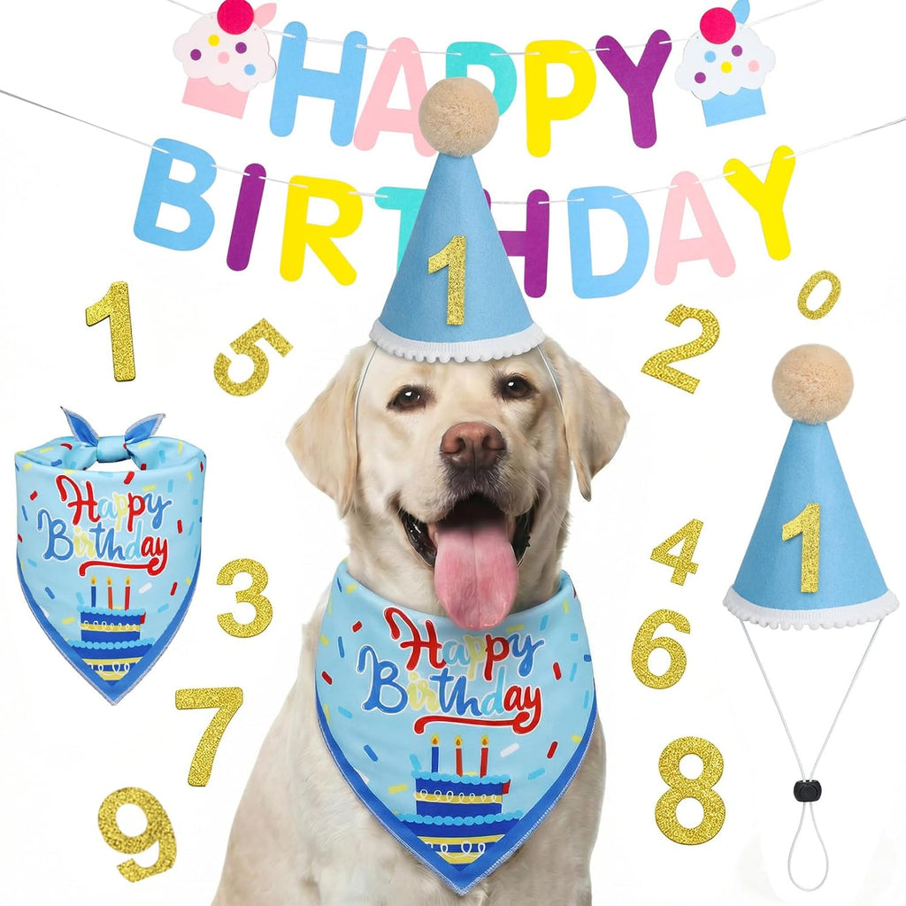 Pet owner preparing for dog birthday with Supet decorations
