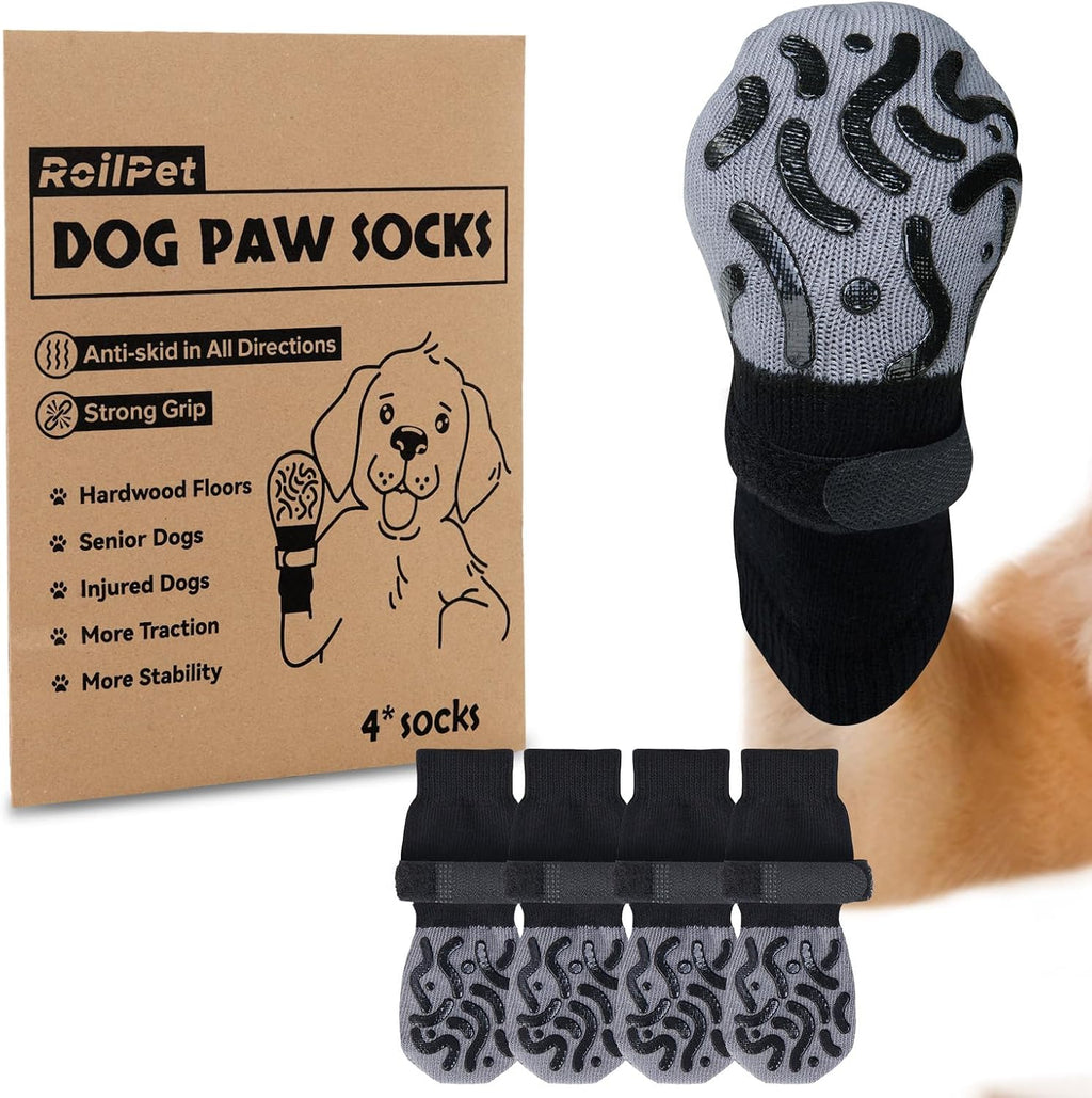 Dog walking comfortably with Roilpet anti-slip traction socks