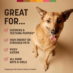 Earth Animal highly digestible alternative to rawhide premium pet food packaging