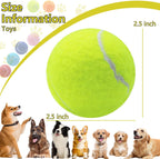 Dog holding multicolor squeaky tennis ball