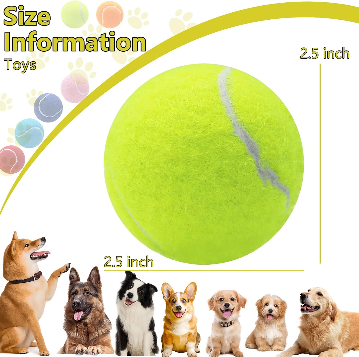 Dog holding multicolor squeaky tennis ball