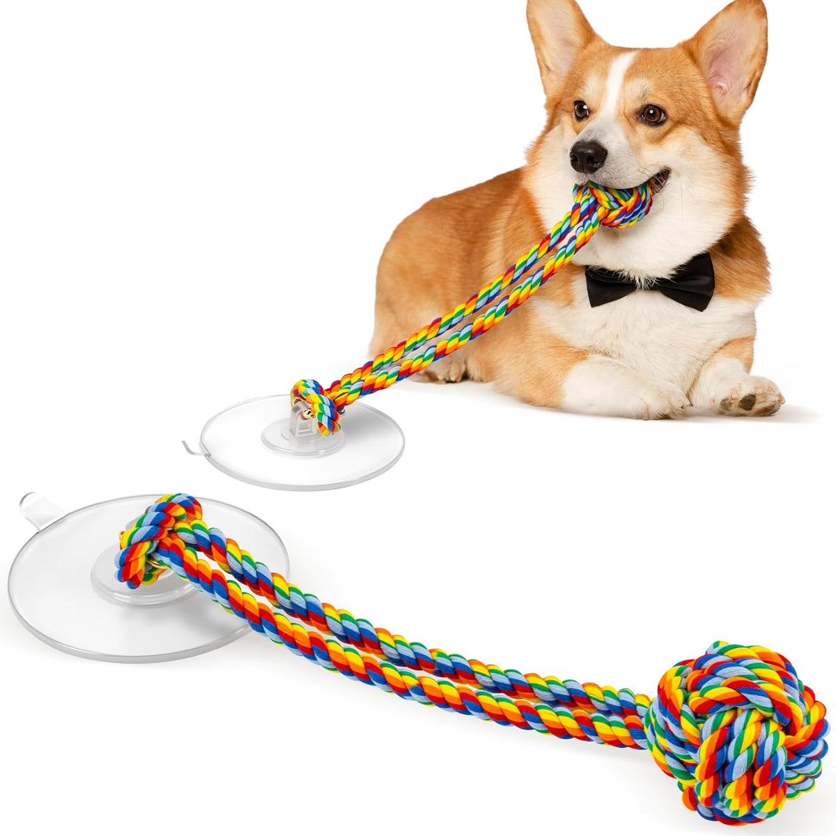 Duocharm interactive suction cup tug dog toy front view attached to smooth floor