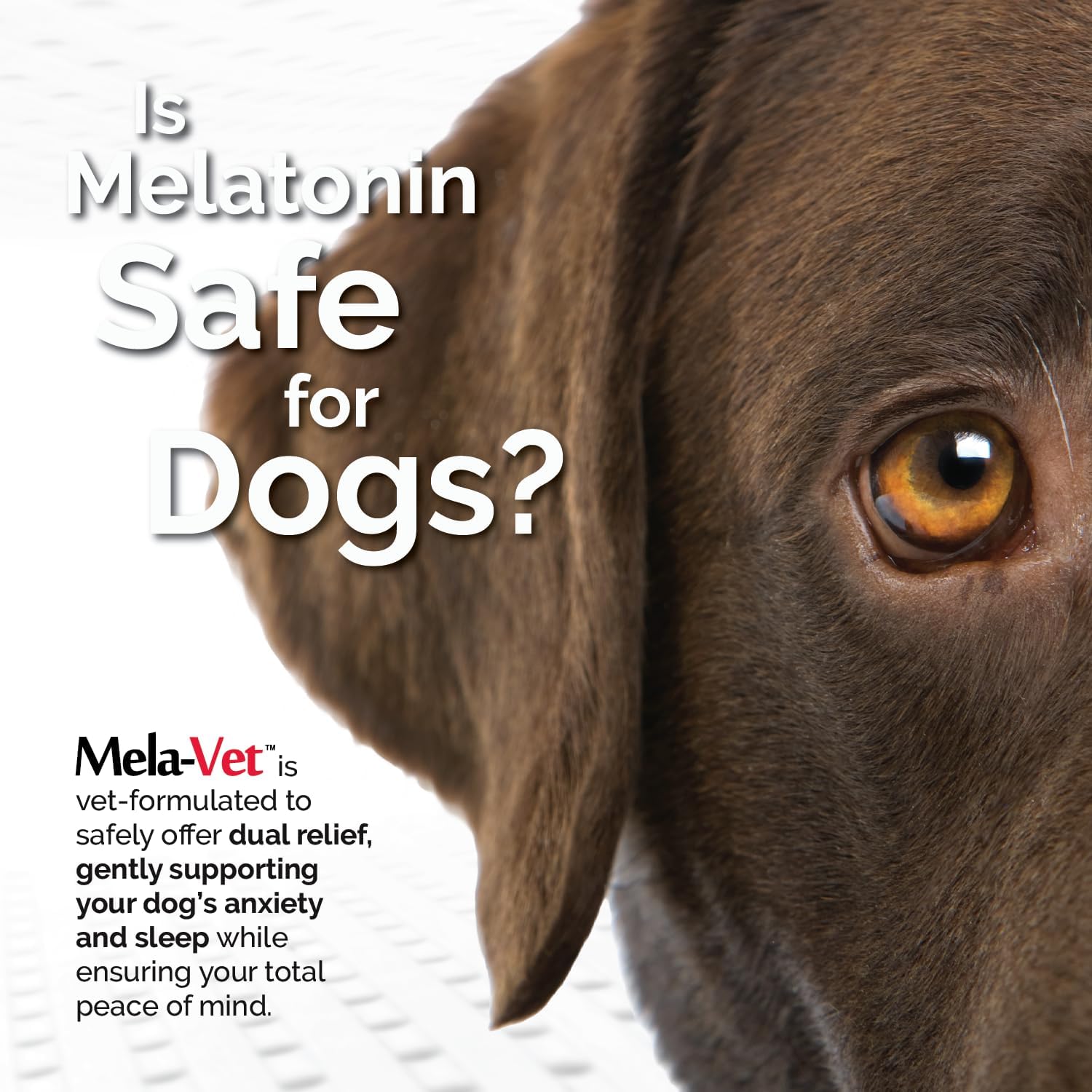 Mela-Vet veterinarian formulated 6mg melatonin calming treats close up