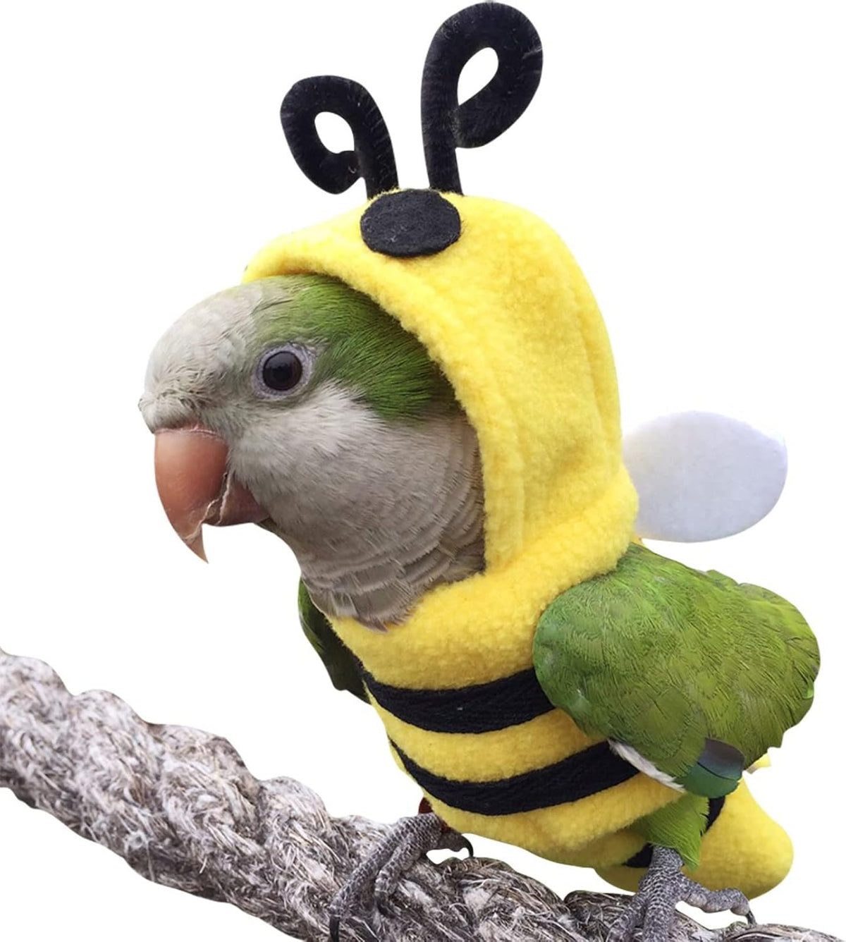 Bird Costume Diaper Flight Suit Bee Shape Clothes Cosplay Photo Prop for Parrots Lovebird Budgie Parakeet Cockatiel Sun Conure, Small Animals Apparel (Bee Without Diaper, Medium), Green (BPF1) - Image 14