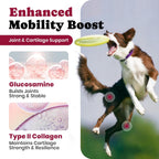 BuddyCheer hip and joint soft chews packaging showing 180 count size