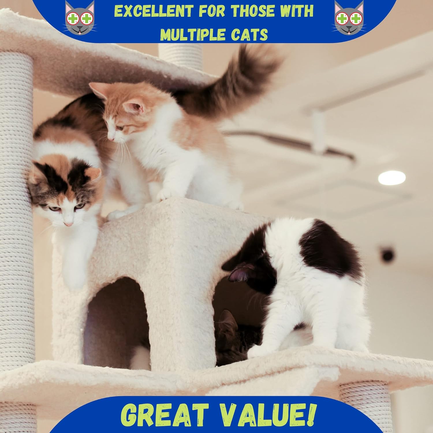 Organic USA imported catnip being sprinkled onto an indoor cat scratching post for playtime