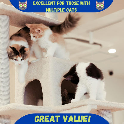 Organic USA imported catnip being sprinkled onto an indoor cat scratching post for playtime