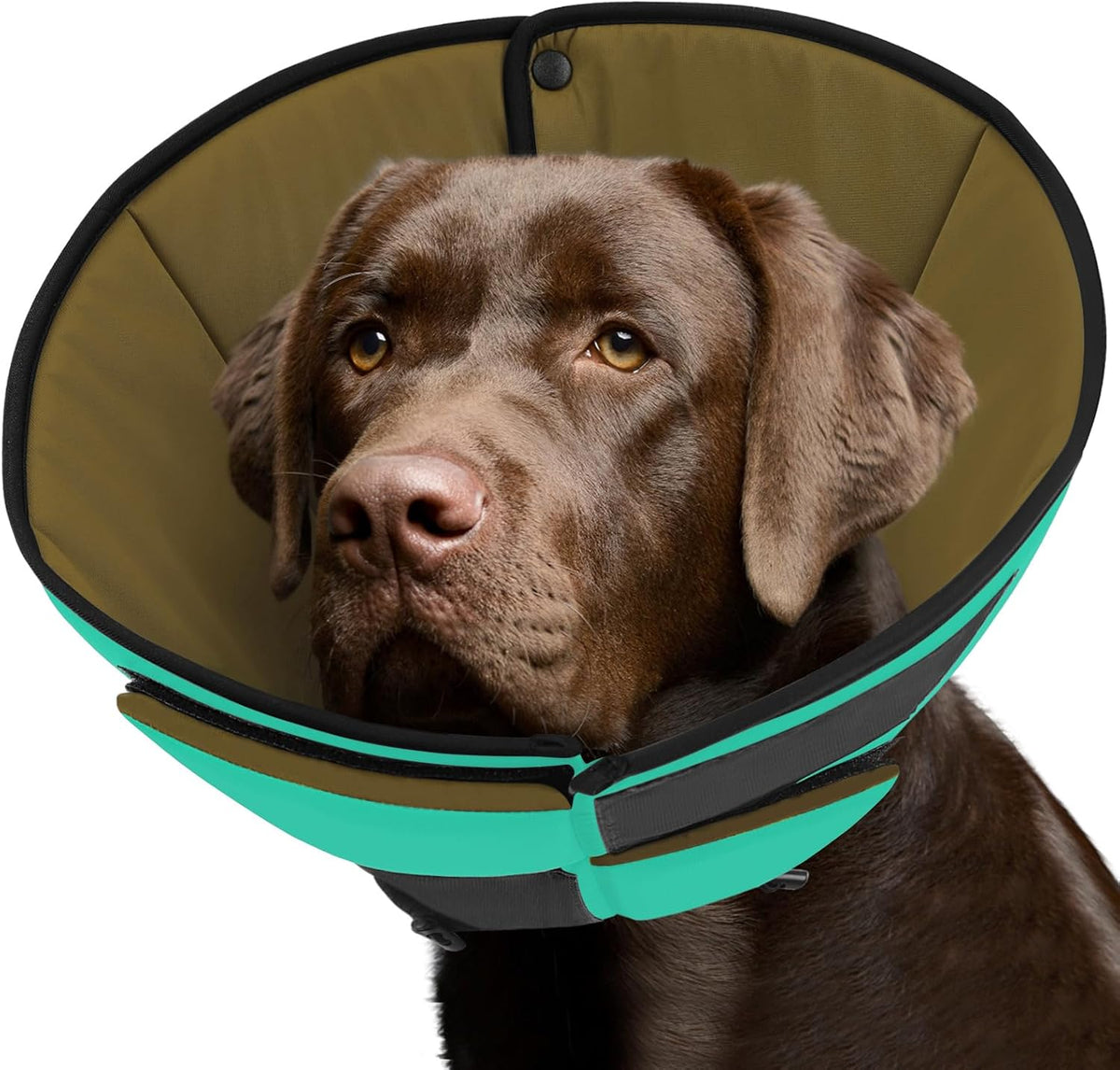 Queenmore Dog Cone XL, Soft Dog Cones for Large Dogs After Surgery, Cone for Dogs to Stop Licking, Elizabethan Collar for Pet, Alternative to Recovery Collar for Large Breeds, Blue XL - Image 15