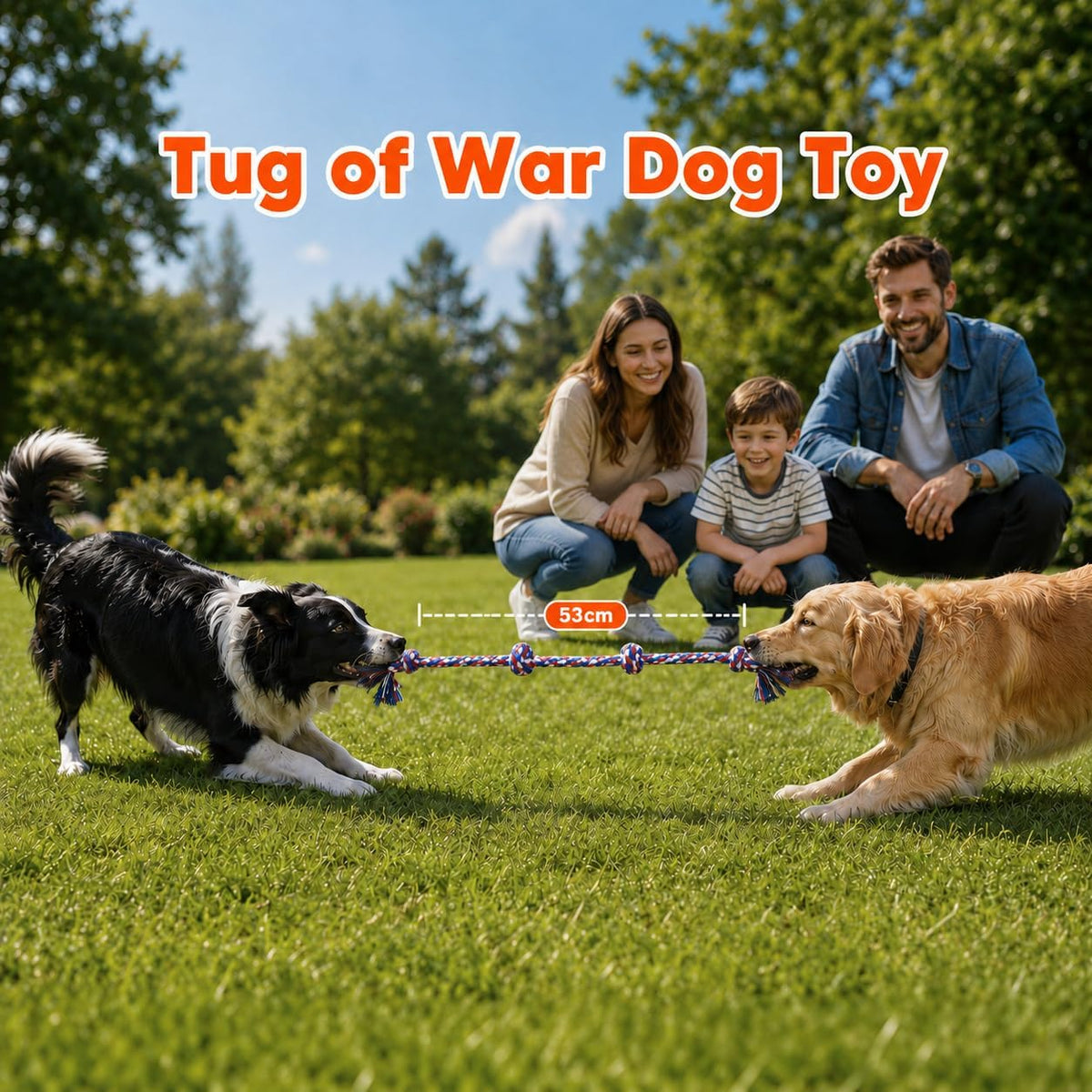 Different styles of multicolor heavy duty puppy teething toys laid out on a clean surface.