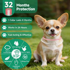 Woyamay waterproof flea and tick collar on a dog