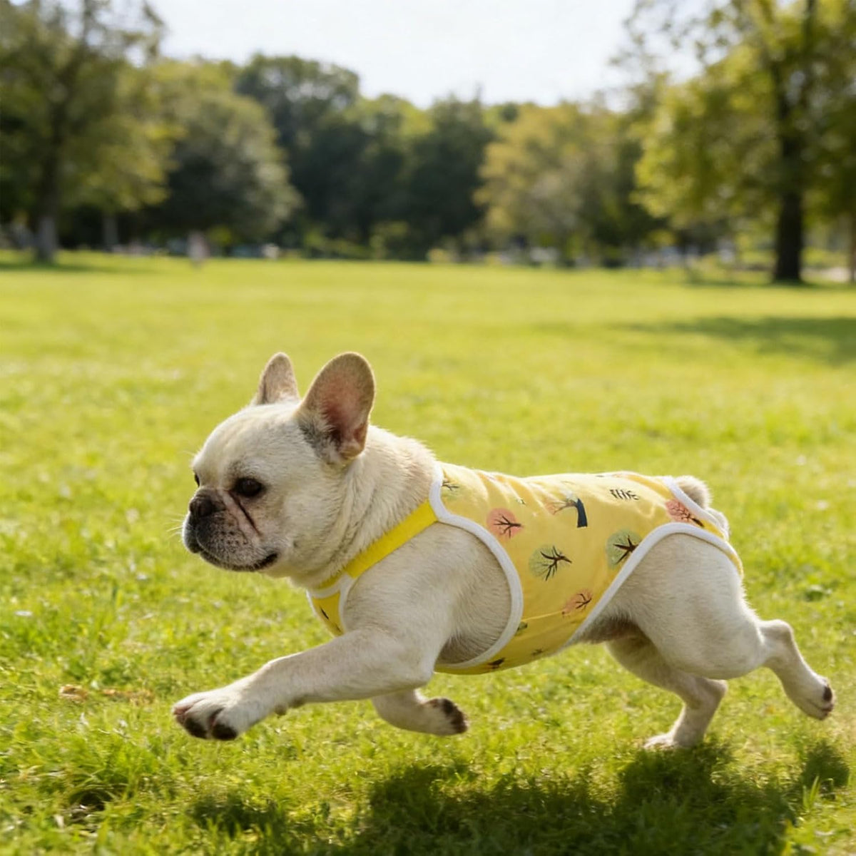 Dreamls adjustable pet suspender pants showing the yellow tree pattern design.