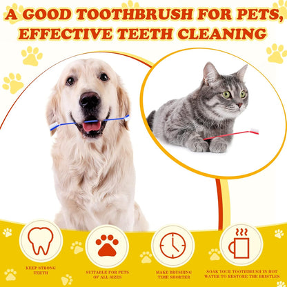 Variety of 8 colors of dog toothbrushes in bulk