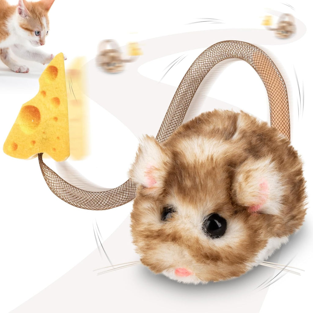 Automated kitten toy displaying the three hundred and sixty degree rolling motion mechanism.