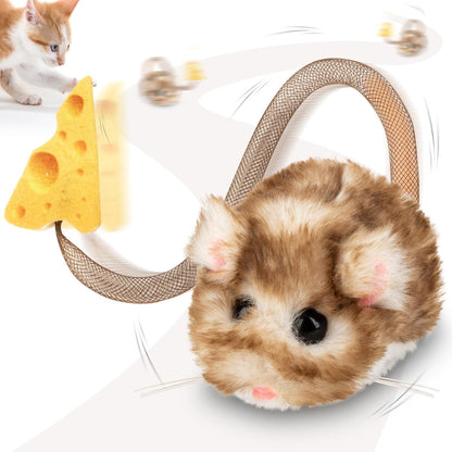 Automated kitten toy displaying the three hundred and sixty degree rolling motion mechanism.