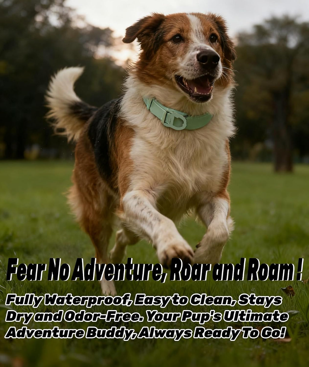 Aniyar durable rubberized pet collar side view showing flexible material