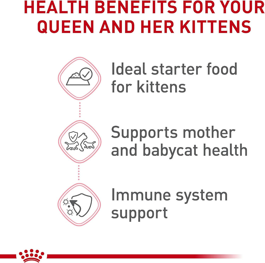 Royal Canin wet cat food can texture and appearance