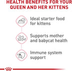 Royal Canin wet cat food can texture and appearance