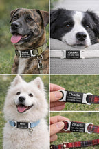 Premium packaging view of the Mio Crafts custom engraved silicone and metal dog tag identifier