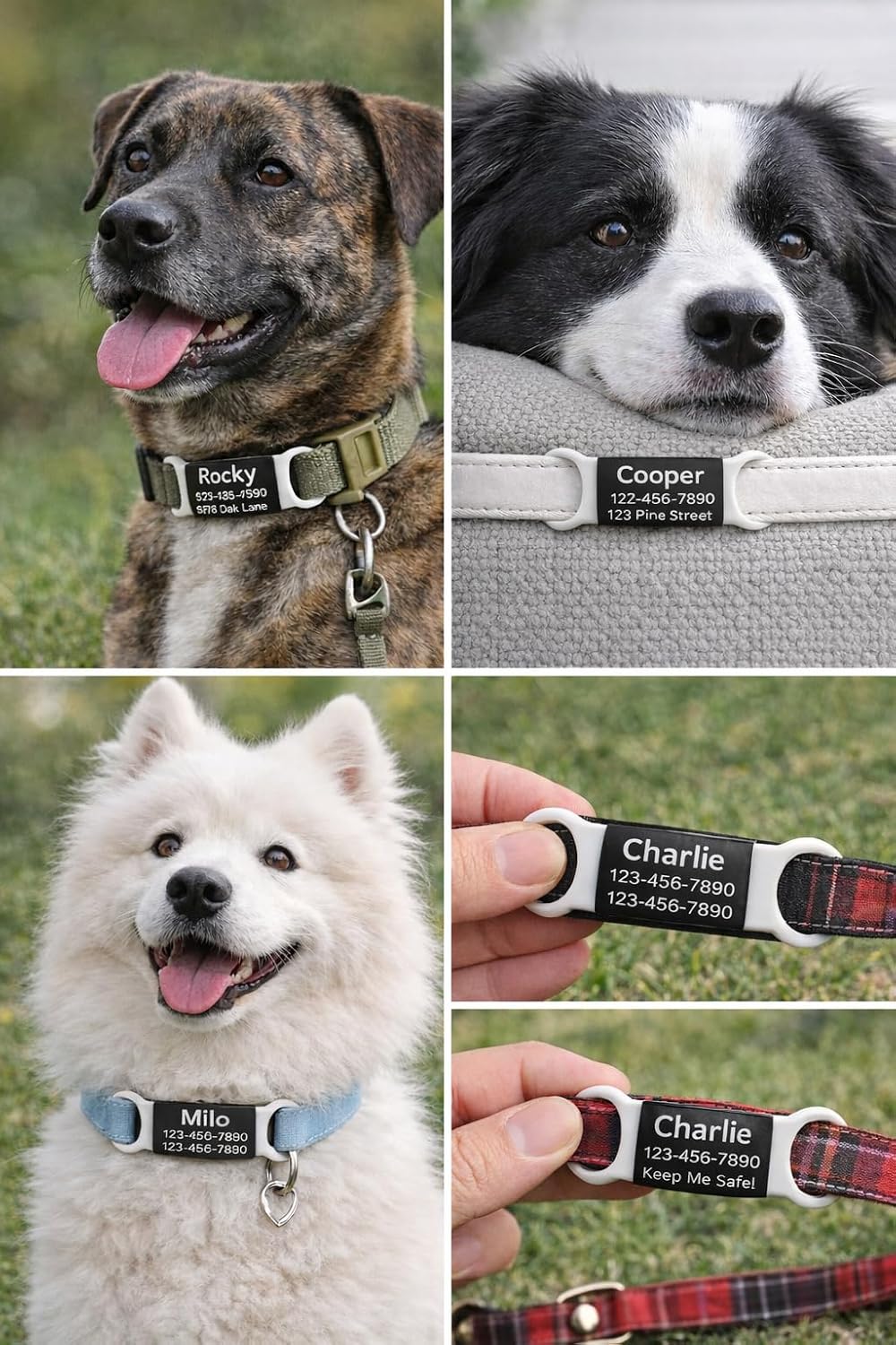 Premium packaging view of the Mio Crafts custom engraved silicone and metal dog tag identifier