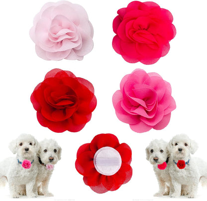 PET SHOW Valentines Small Dogs Flower Charms Slide Collar Accessories for Medium Large Dogs Cat Puppies Rabbit Pigs Collars Bows Grooming Supplies - Image 15