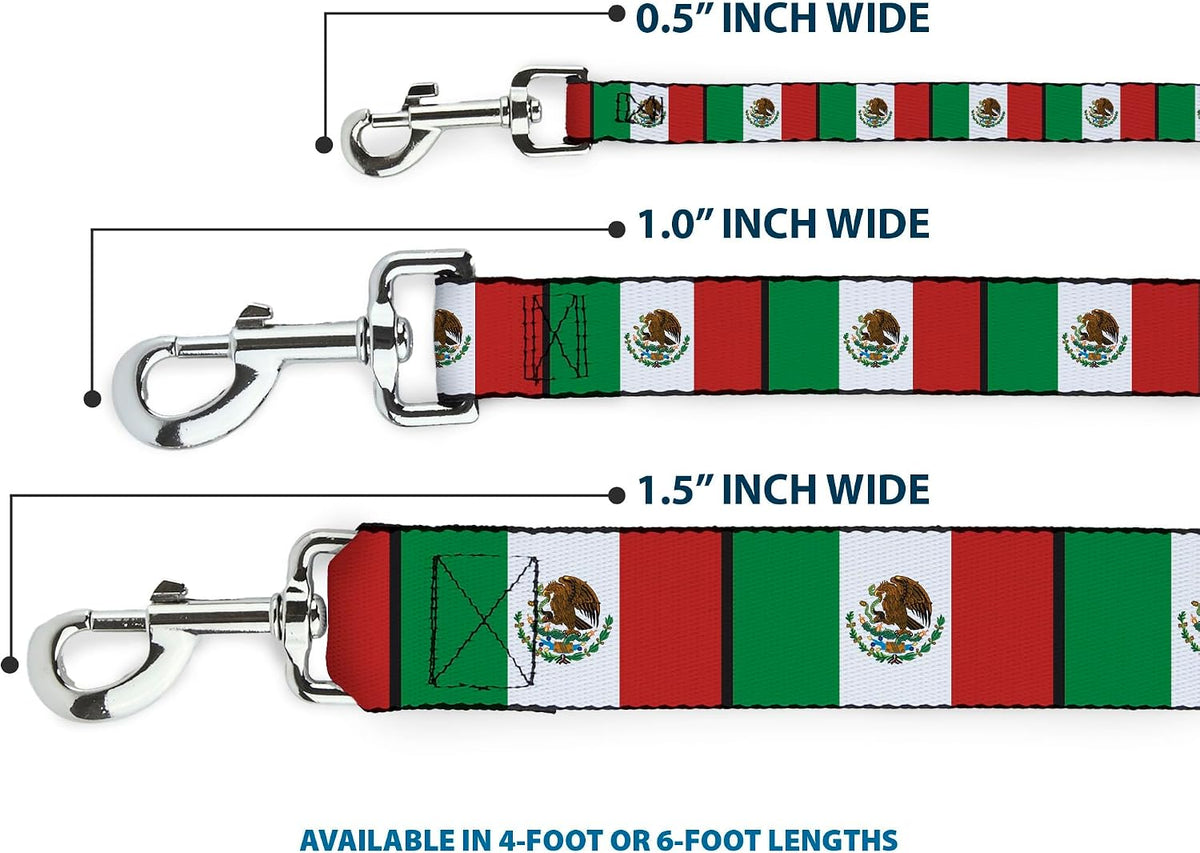 Buckle-Down dog leash steel snap hook detail