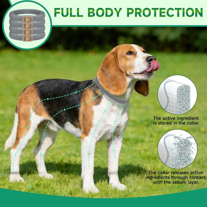 Woyamay dog flea collar packaging details