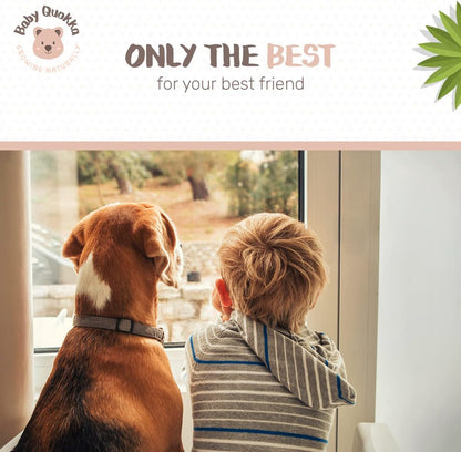 Baby Quokka incontinent dog belly band packaged set highlighting the authentic imported design