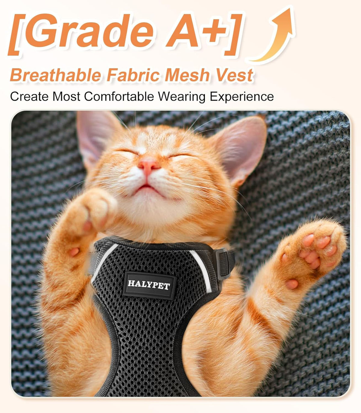 Escape proof adjustable kitten vest with breathable mesh fabric close up.