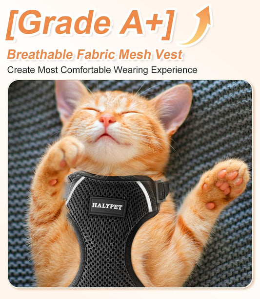 Escape proof adjustable kitten vest with breathable mesh fabric close up.