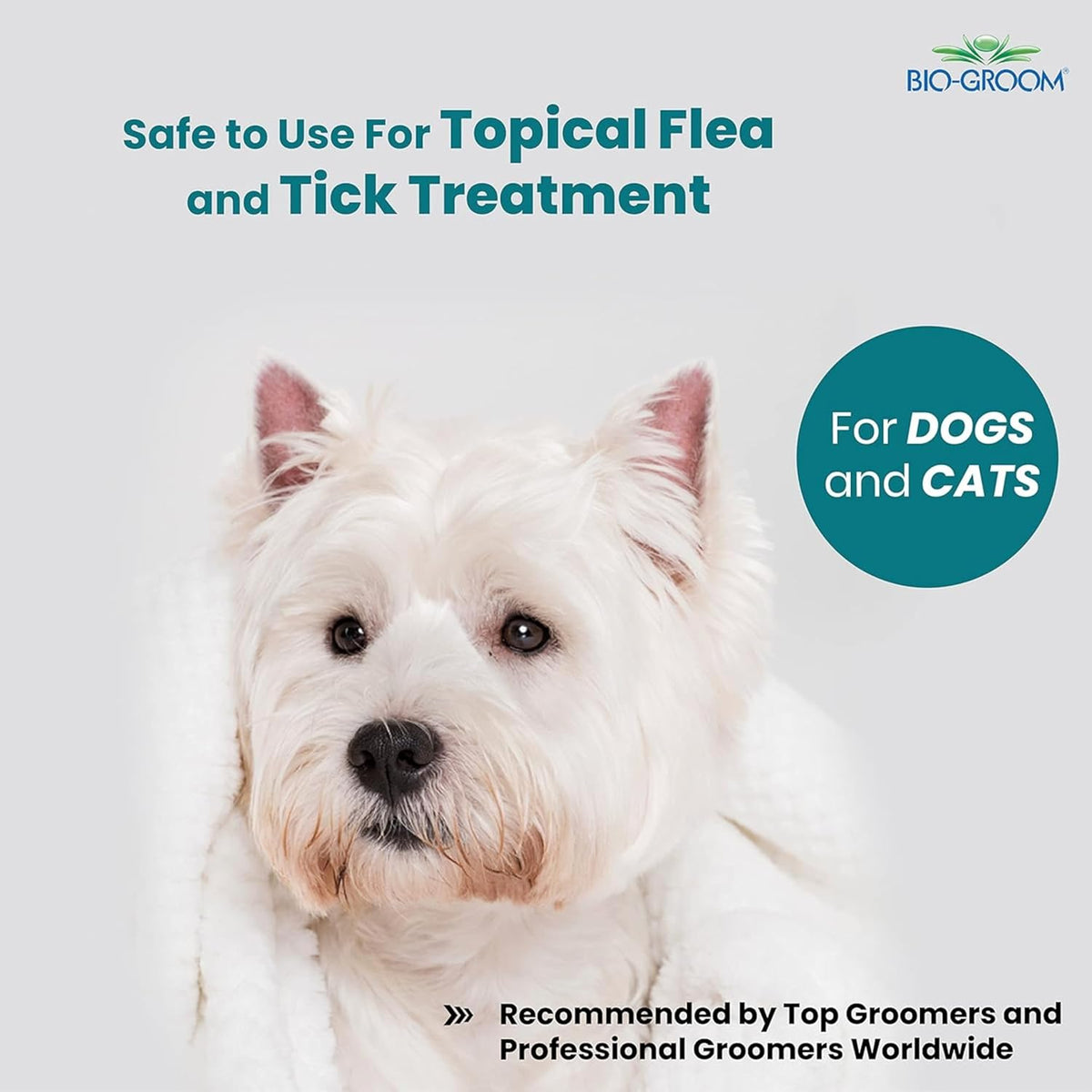 Close up of Bio-Groom tearless pet shampoo liquid texture
