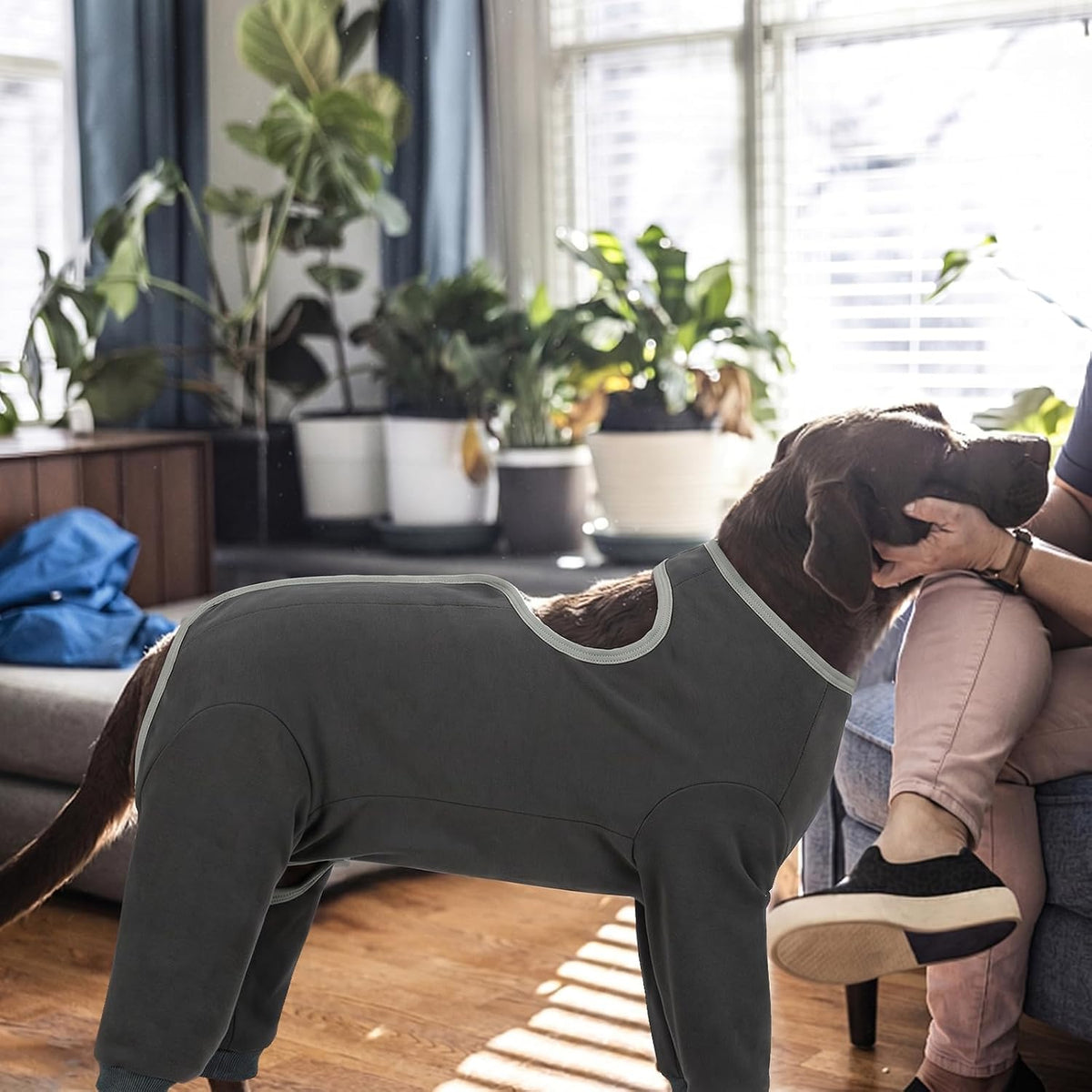 Idomik pet pajamas back view for wound protection