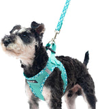PUPTECK dog harness and leash set green plaid front view on a puppy